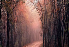 时代少年团新音舞台纯享版：青春旋律，燃动青春风采